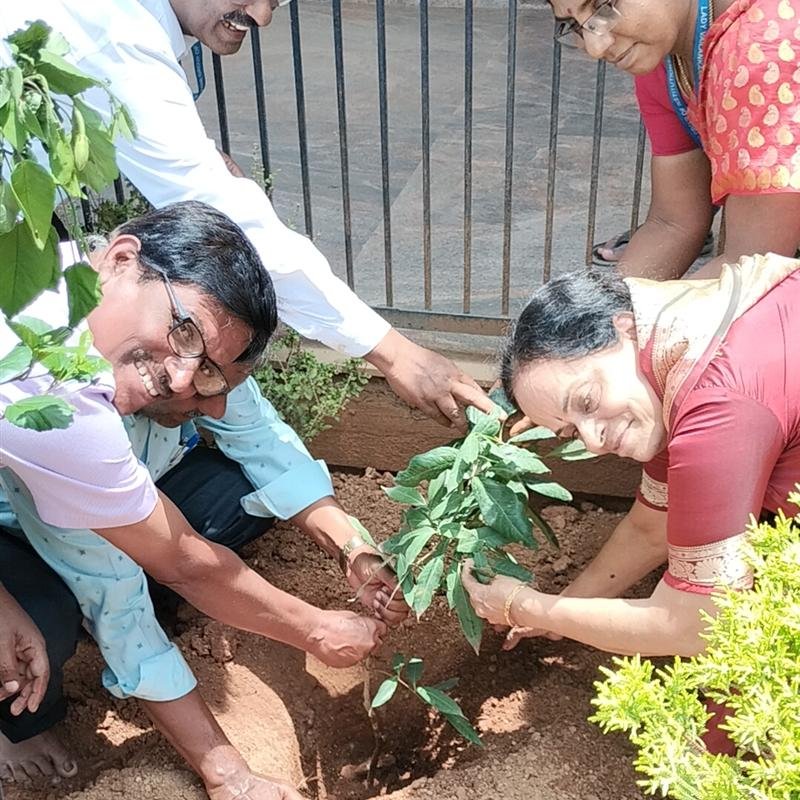 Green Campus — Lady Vailankanni Bangalore